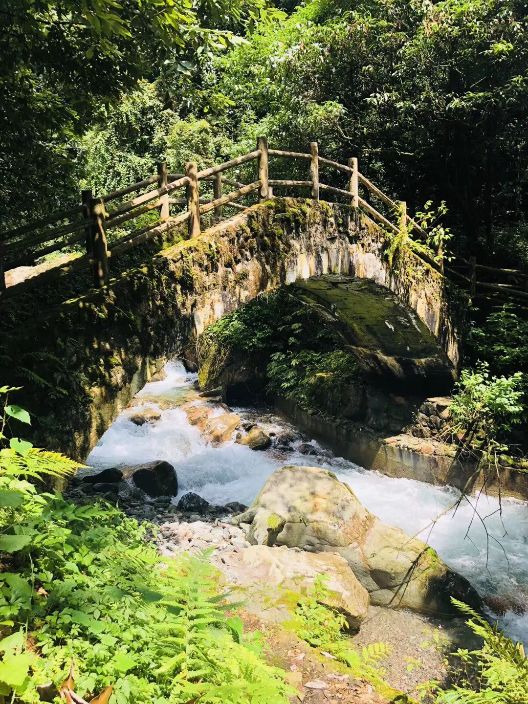 苏菲亚的休闲装